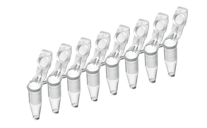 Eppendorf PCR Tubes
