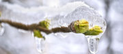 Labteamet__image_cryo-thaw_shutterstock